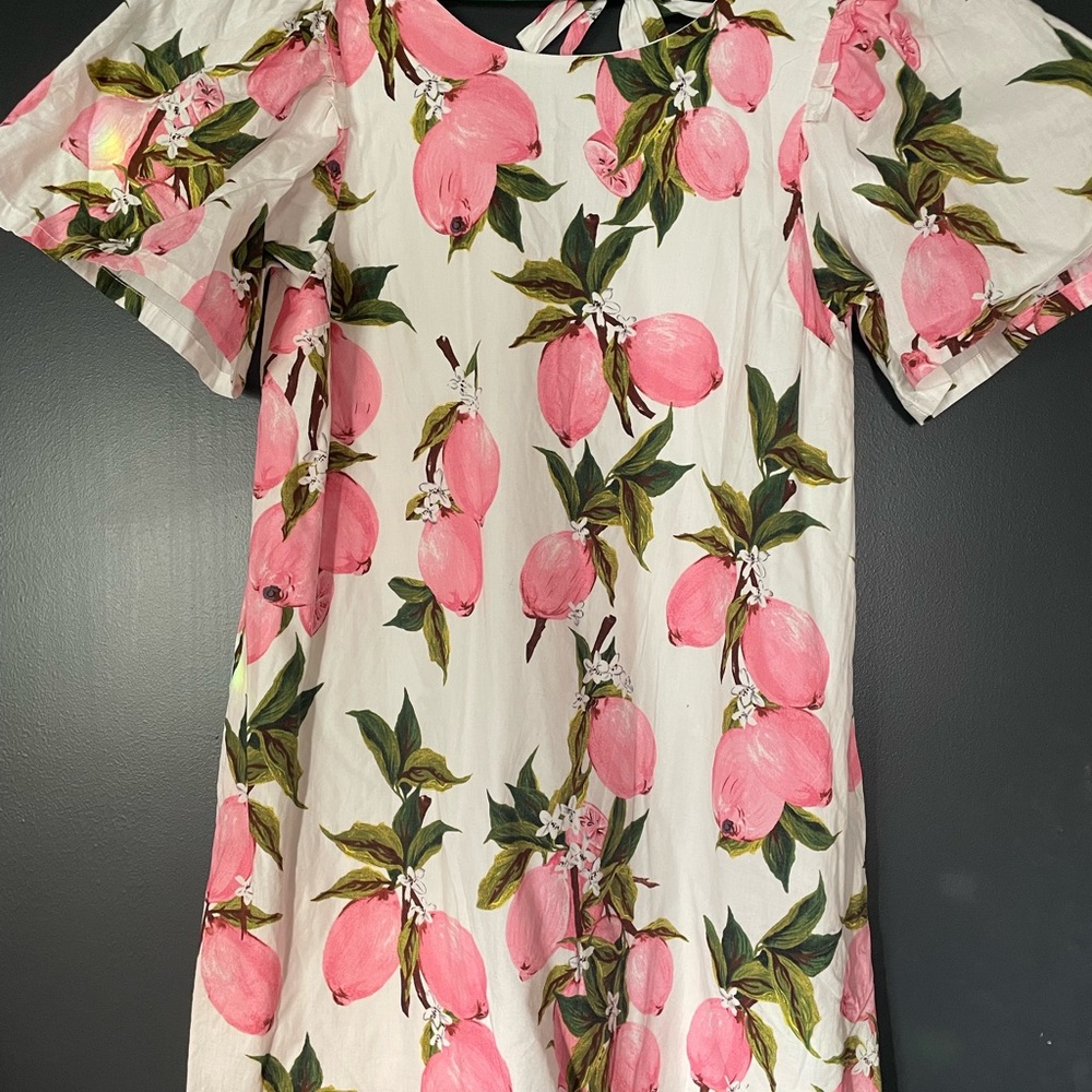 NWOT Pink Lemon Summer Dress